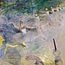 Henri de Toulouse-Lautrec