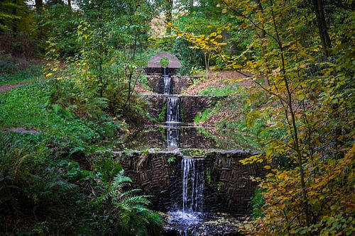 Waterval in het bos