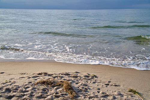 On the sandy beach of the Baltic Sea coast