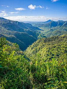 Mauritius - Black River Gorges National Park