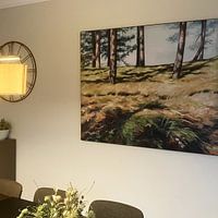 Klantfoto: Tussen twee Bergen van Rob Donders Beeldende kunst, als ArtFrame