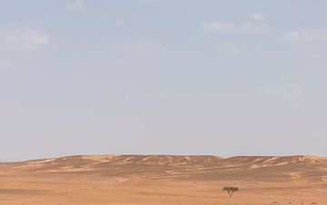 Désert du Sahara (Erg Chegaga - Maroc) sur Marcel Kerdijk