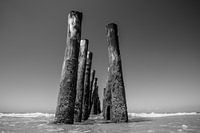 Piles de moules en noir et blanc