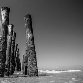 Piles de moules en noir et blanc sur Jonas Demeulemeester