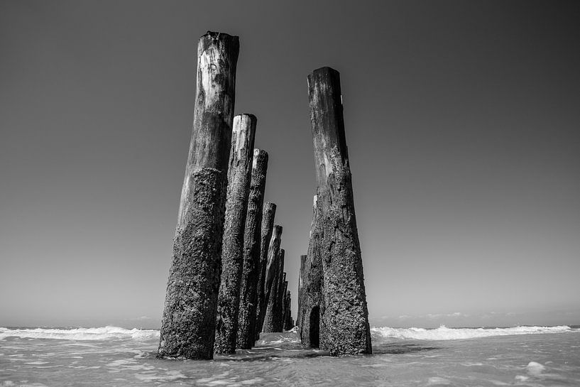 Piles de moules en noir et blanc par Jonas Demeulemeester