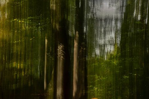 Autumn colours creative