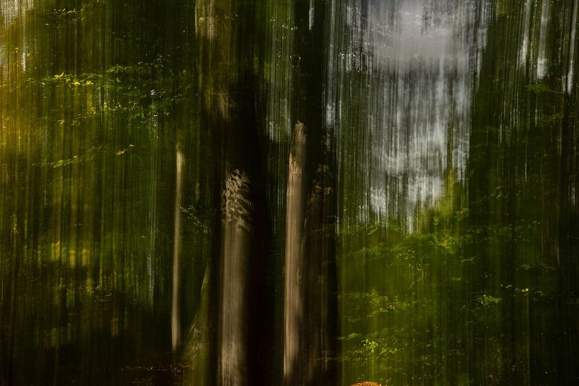 Autumn colours creative by Annet van Heijster