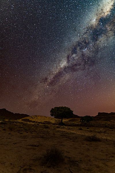 Milchstraße über der Namib-Wüste in Namibia, Afrika von Patrick Groß