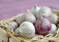 Chinese Garlic