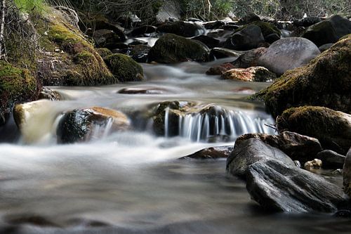 Small Water Jump
