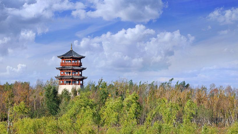 pagode traditionnelle, les arbres, le ciel bleu et les nuages ​​dramatiques par Tony Vingerhoets