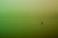 Groene  Mist over de Rijkerswoerdse Plassen par Robert Wiggers Aperçu