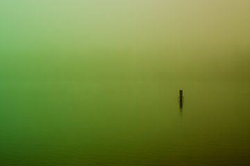 Groene  Mist over de Rijkerswoerdse Plassen van Robert Wiggers