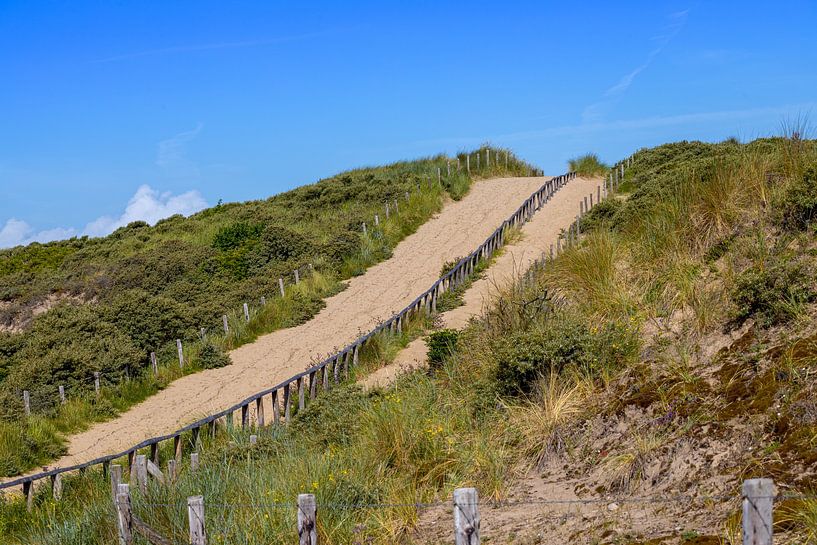 Dune by Michael Ruland