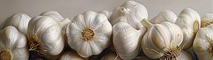 Malerei Knoblauch