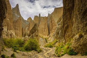 Clay Cliffs in Omarama, Neuseeland