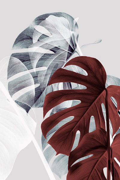 Monstera Creatief 18 van Pictufy Studio III