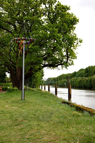 Uitzicht op de meiboom aan de oevers van de rivier de Hase