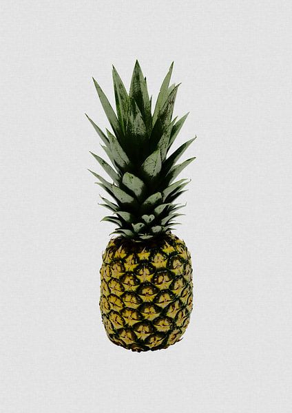 Ananas par Orara Studio