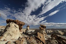 Hoodoo Forest (Rimrocks North) Grand Staircase-Escalante National Monument in zuidelijk Utah, Vereni van Frank Fichtmüller