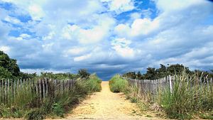 Auf dem Weg zum Strand