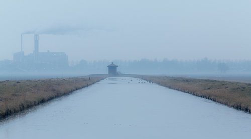 Brouillard et tranquillité