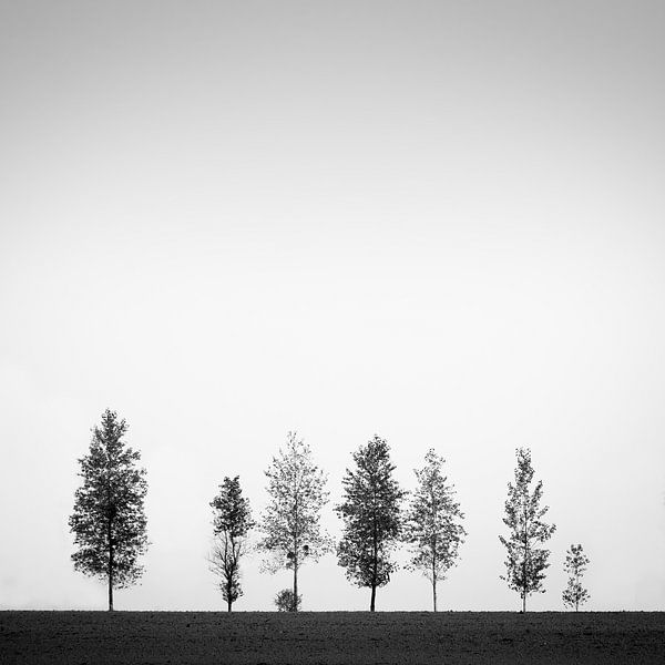 familieportret by Robert Smit