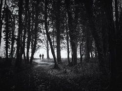 Wandelaars op een bospad