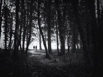 Wanderer auf einem Waldweg