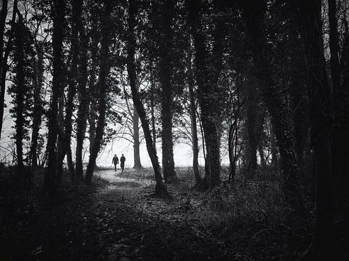 Wandelaars op een bospad