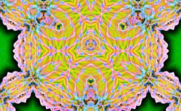 un motif floral numérique kaléidoscopique sur Werner Lehmann