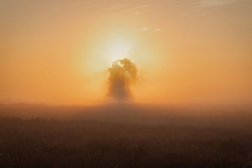 Sunrise on the moors by Angela Dijkman