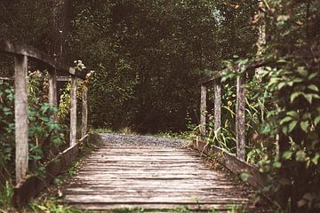 Le pont sur Bjorn Cornelissen