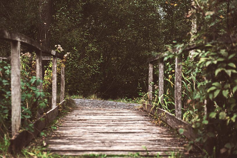 The Bridge by Bjorn Cornelissen