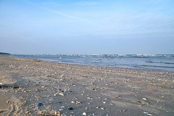 Uitzicht over een strand op Usedom met schelpen en uitzicht op de Oostzee van Martin Köbsch