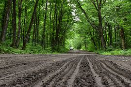 Eine Landstraße im Sommer von Claude Laprise