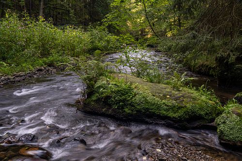 De wilde en romantische Polenz in het Elbezandsteengebergte
