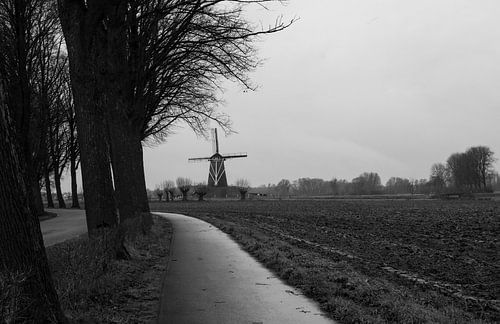 Mühle am Straßenrand