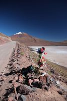 Mémorial au bord de la route, Salar de Ascotan, Chili, Volcan