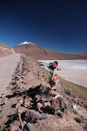 Gedenkteken langs de weg, Salar de Ascotan, Chili, Vulkaan