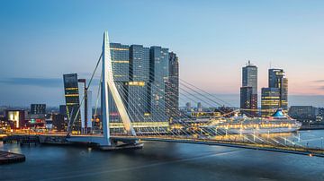 Rotterdam Erasmus Brücke bei Nacht von Leon van der Velden
