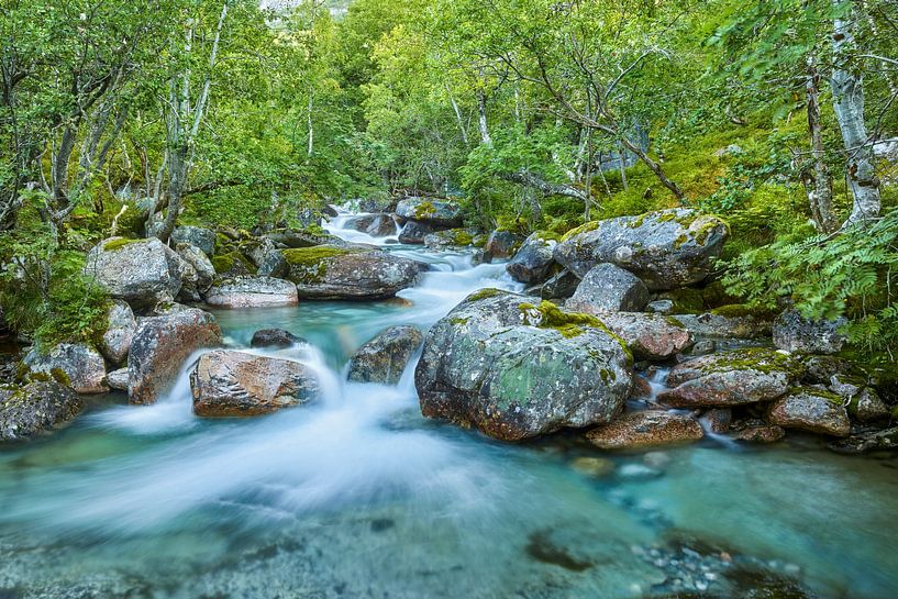 Wilde Rivier I van Rainer Mirau
