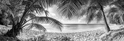 Palm Beach op het eiland Barbados in zwart-wit.