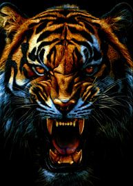 Tigergesicht von tophat
