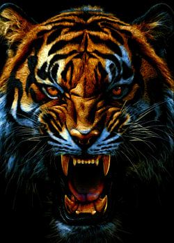 visage de tigre