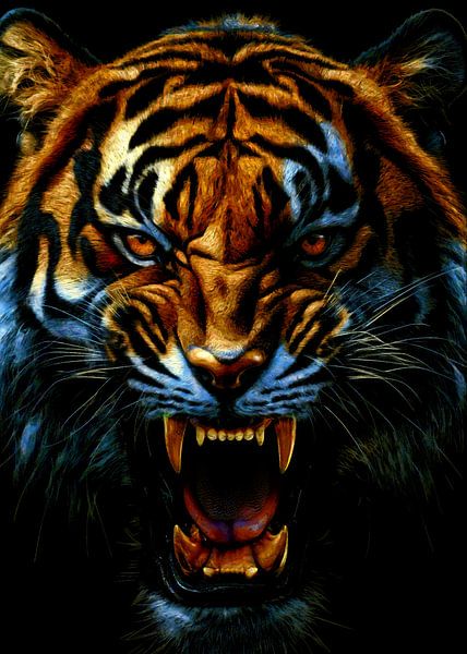 Tigergesicht von tophat
