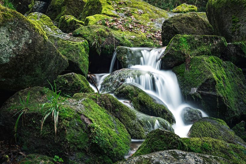 Allerheiligen Wasserfall von Michael Schwan