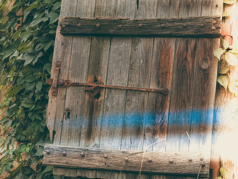 Détail 4 par Miriam Meijer, en pleine campagne.....