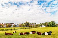 The Dutch Sonsbeek city park in Arnhem