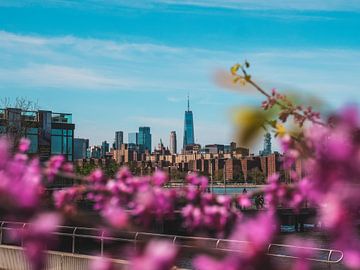 Lower Manhattan bei der Blossom | NYC von Kwis Design